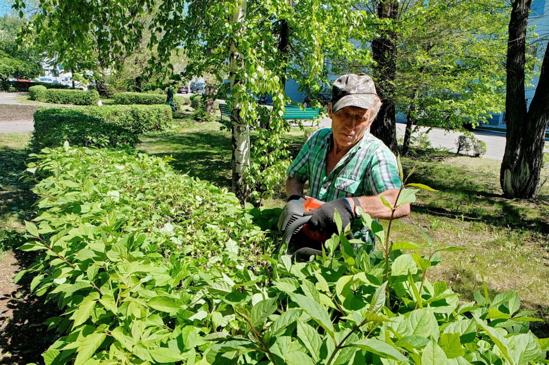 Коммунальщики приступили к озеленению городских территорий 