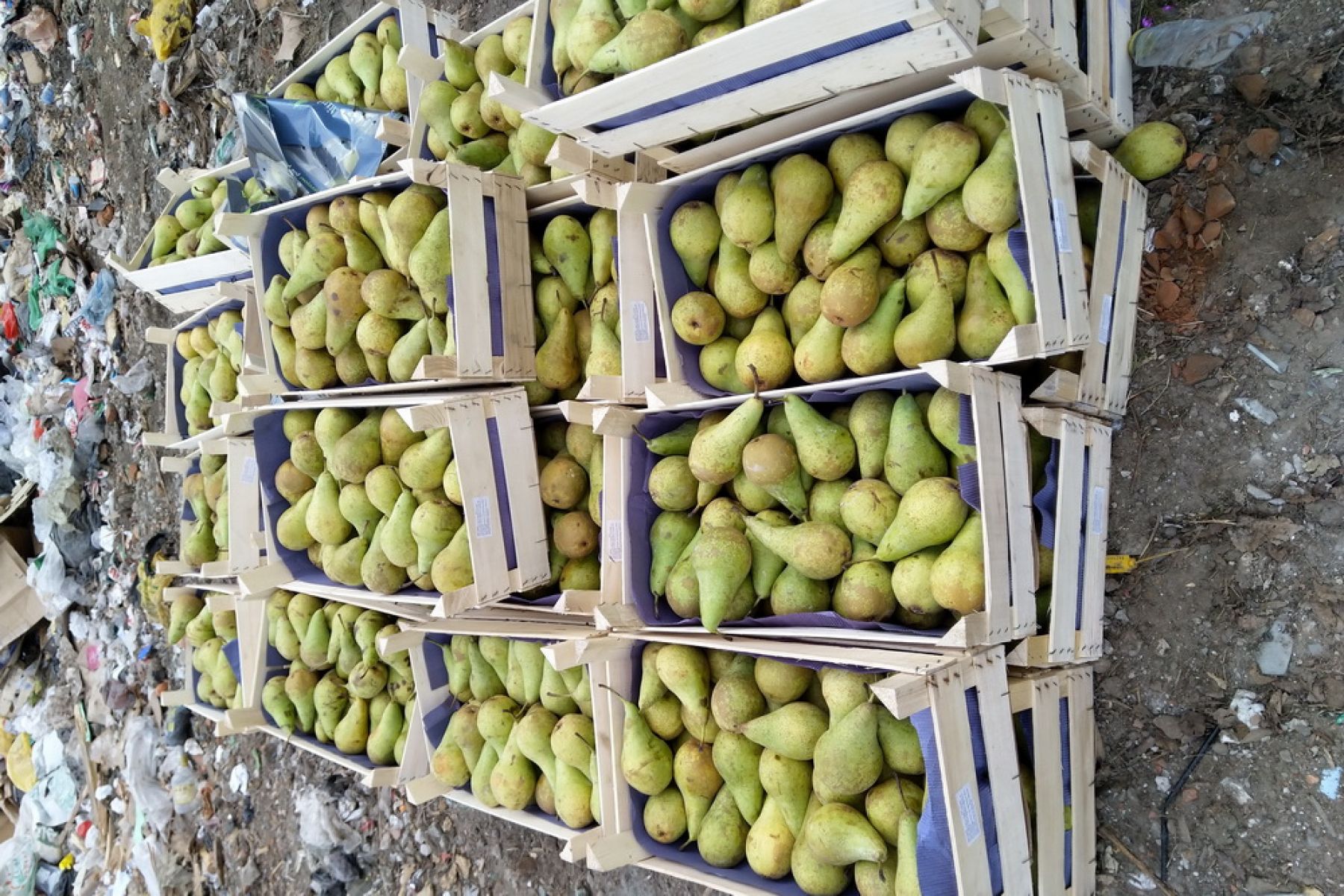 Рейд по выявлению санкционной продукции провела Алтайская таможня 