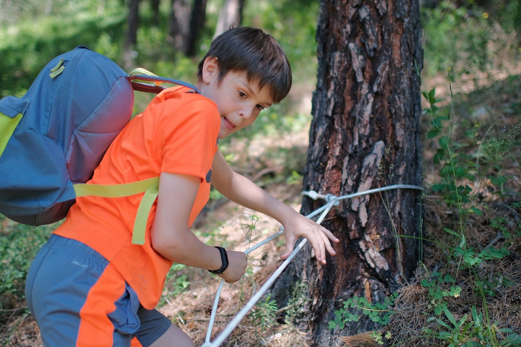 Патриотический квест, посвященный Дню памяти и скорби, прошел в селе Лесное 
