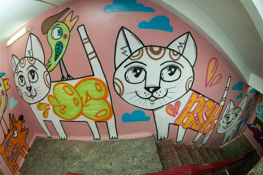 Найди кота: бийчане ищут граффити на стенах домов и заборах