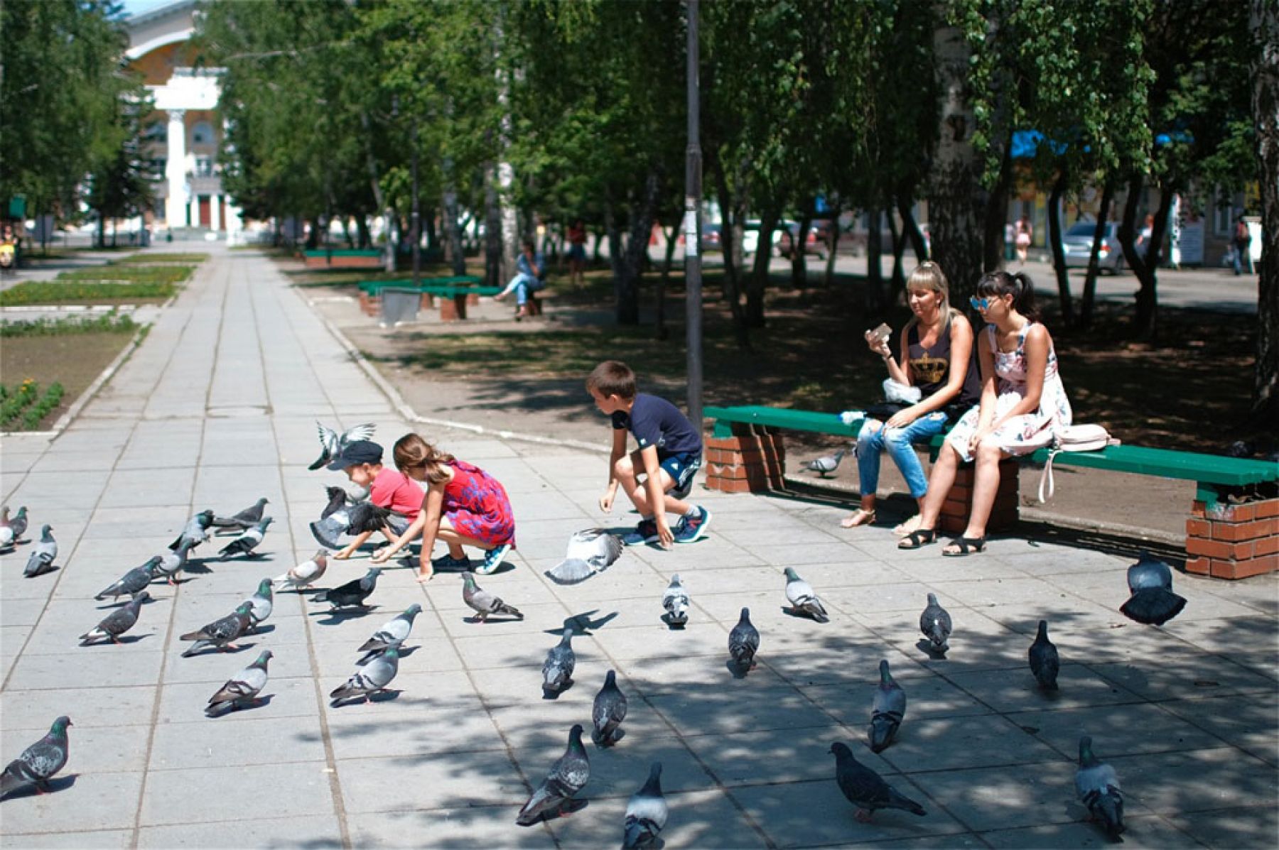 Фотовзгляд: знойный июльский день в городе