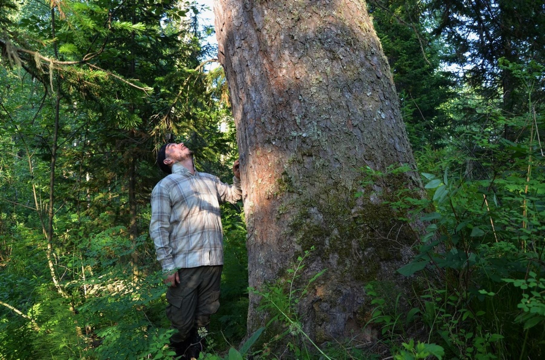 Проект создания первого национального парка обсуждают в Алтайском крае