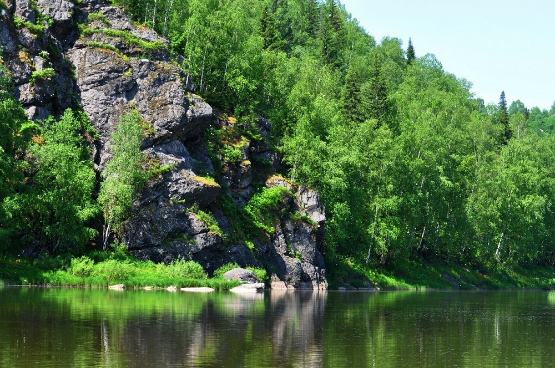 Проект создания первого национального парка обсуждают в Алтайском крае