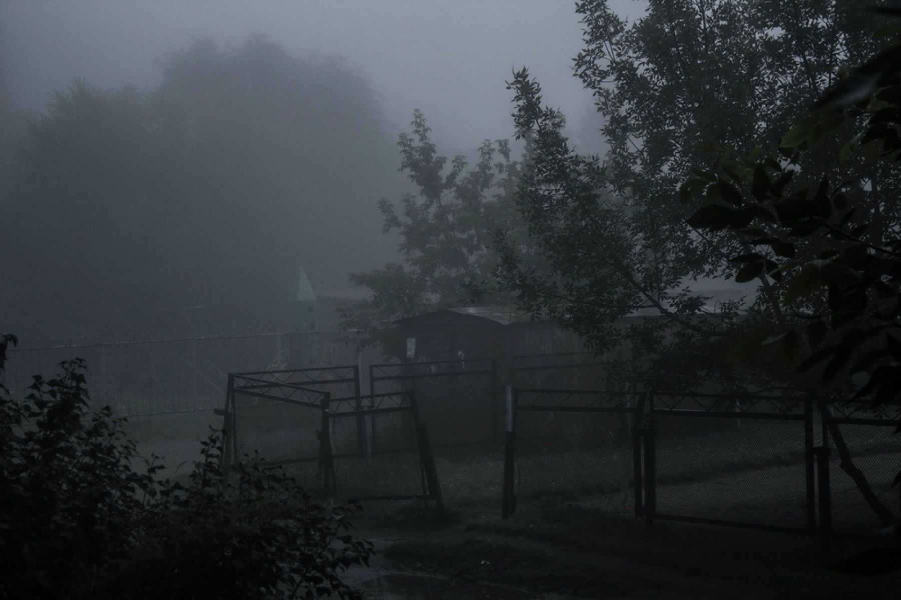 Сайлент-Бийск: город накрыло туманом из воды и дыма 