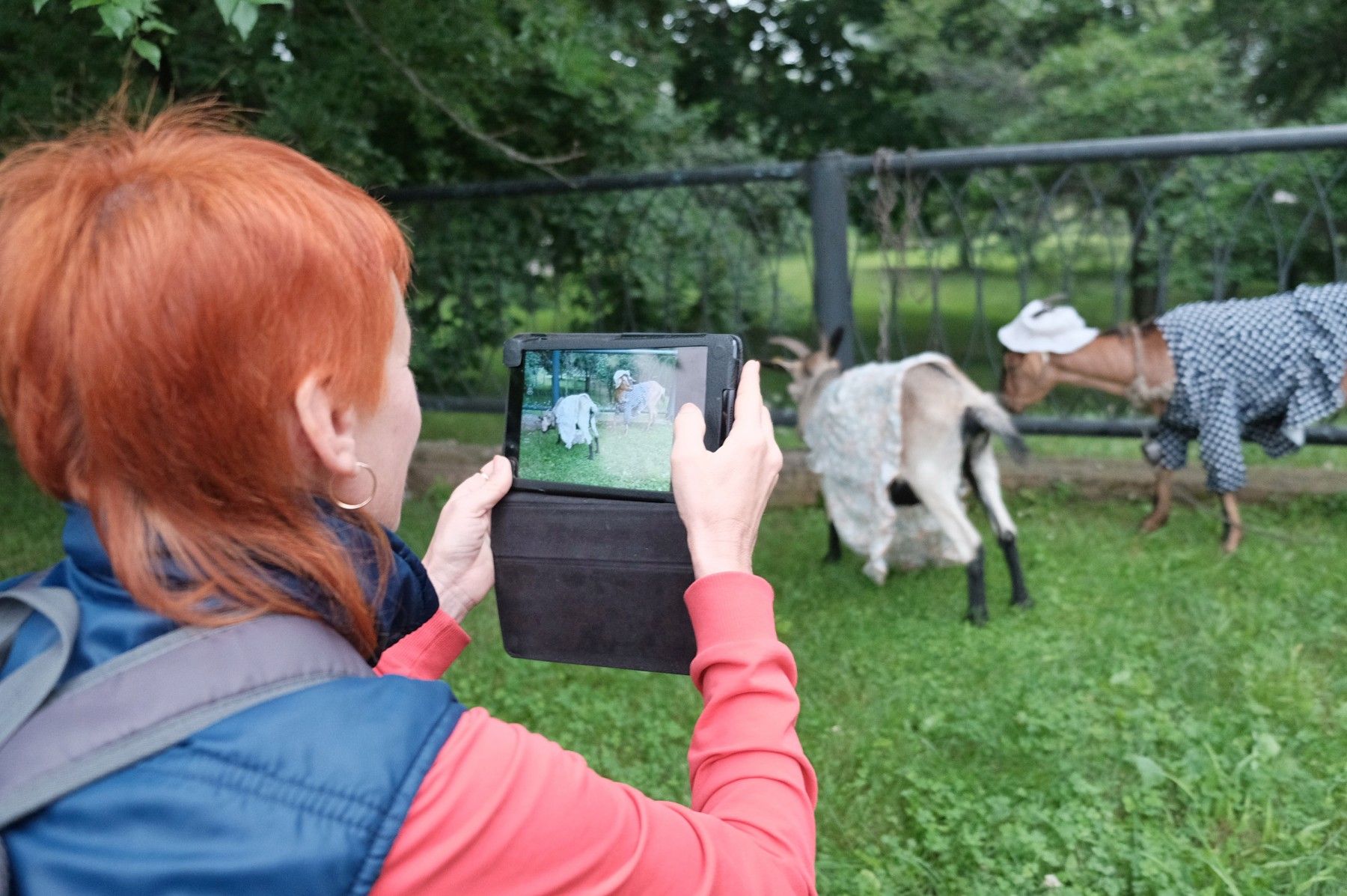 Зачем люди едут в Сростки