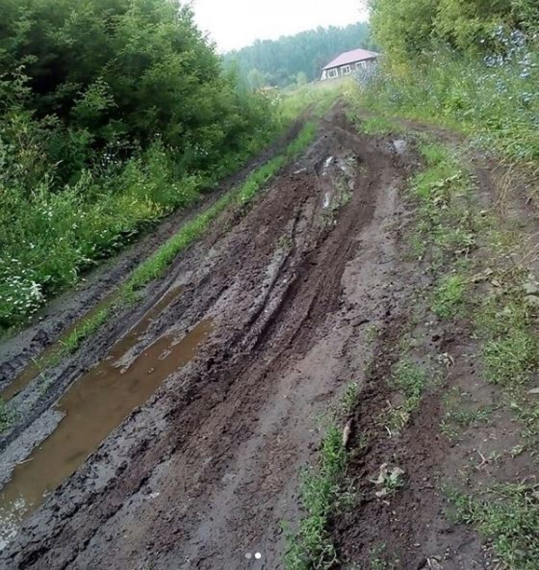 Жители поселка Зонального района жалуются на полное отсутствие медпомощи