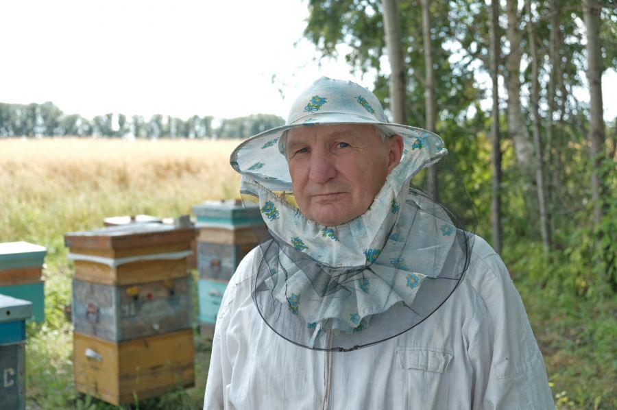 Пасечник Евгений Пятков - о выборе меда, наценке перекупщиков и гибели пчел