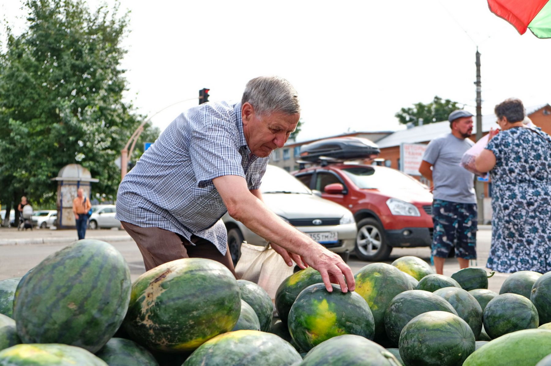 Сам сахарный: откуда в Бийск привозят арбузы и как выбрать самый вкусный