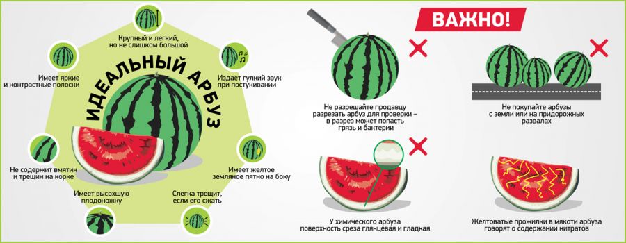 Сам сахарный: откуда в Бийск привозят арбузы и как выбрать самый вкусный