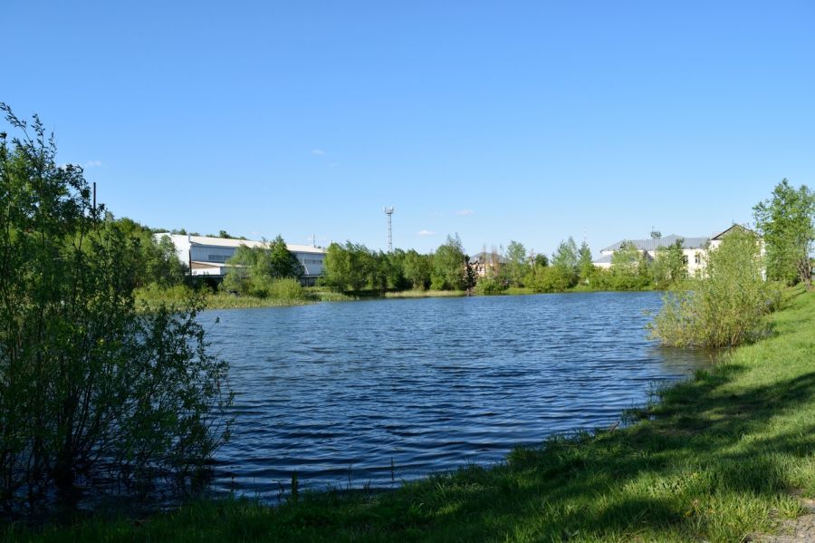  Умирает озеро: бийчане вновь призывают власти обратить внимание на Ковалевское 