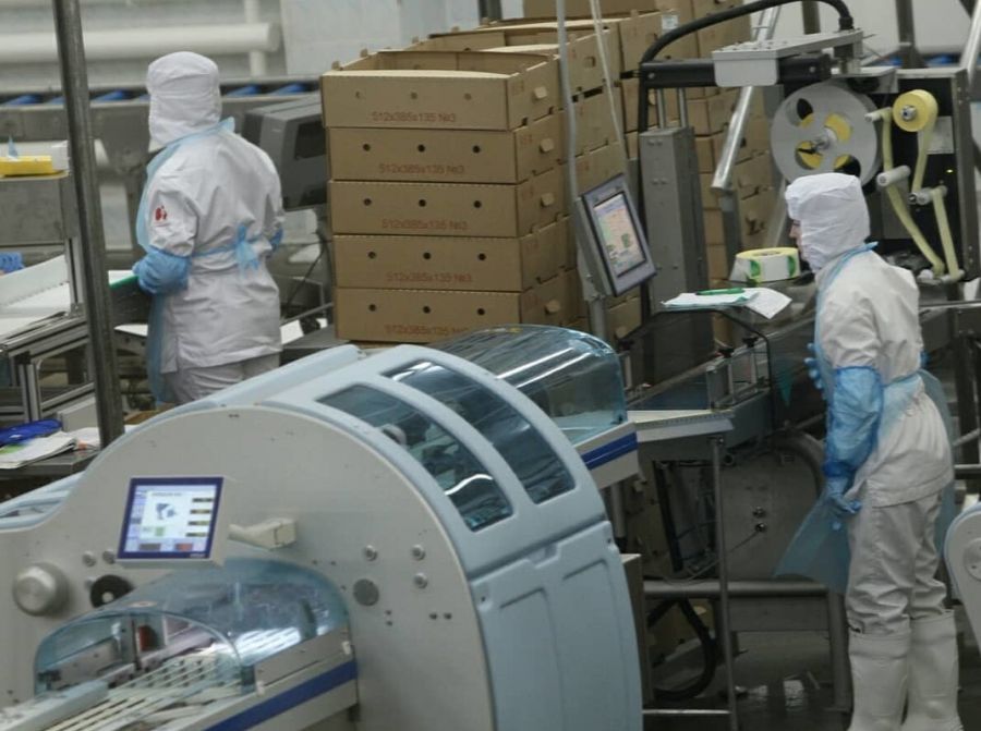 Продукция модернизированного «Алтайского бройлера» будет поставляться в Китай 