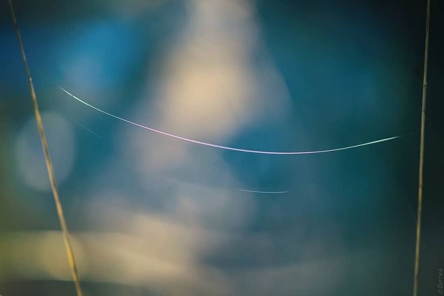 Одна из главных примет бабьего лета - в кадрах алтайского фотографа 