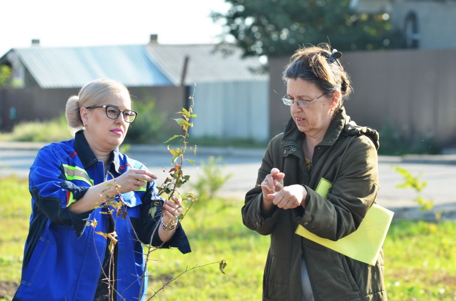 «Зеленая дружина» СГК высадила 50 деревьев в новом сквере Бийска