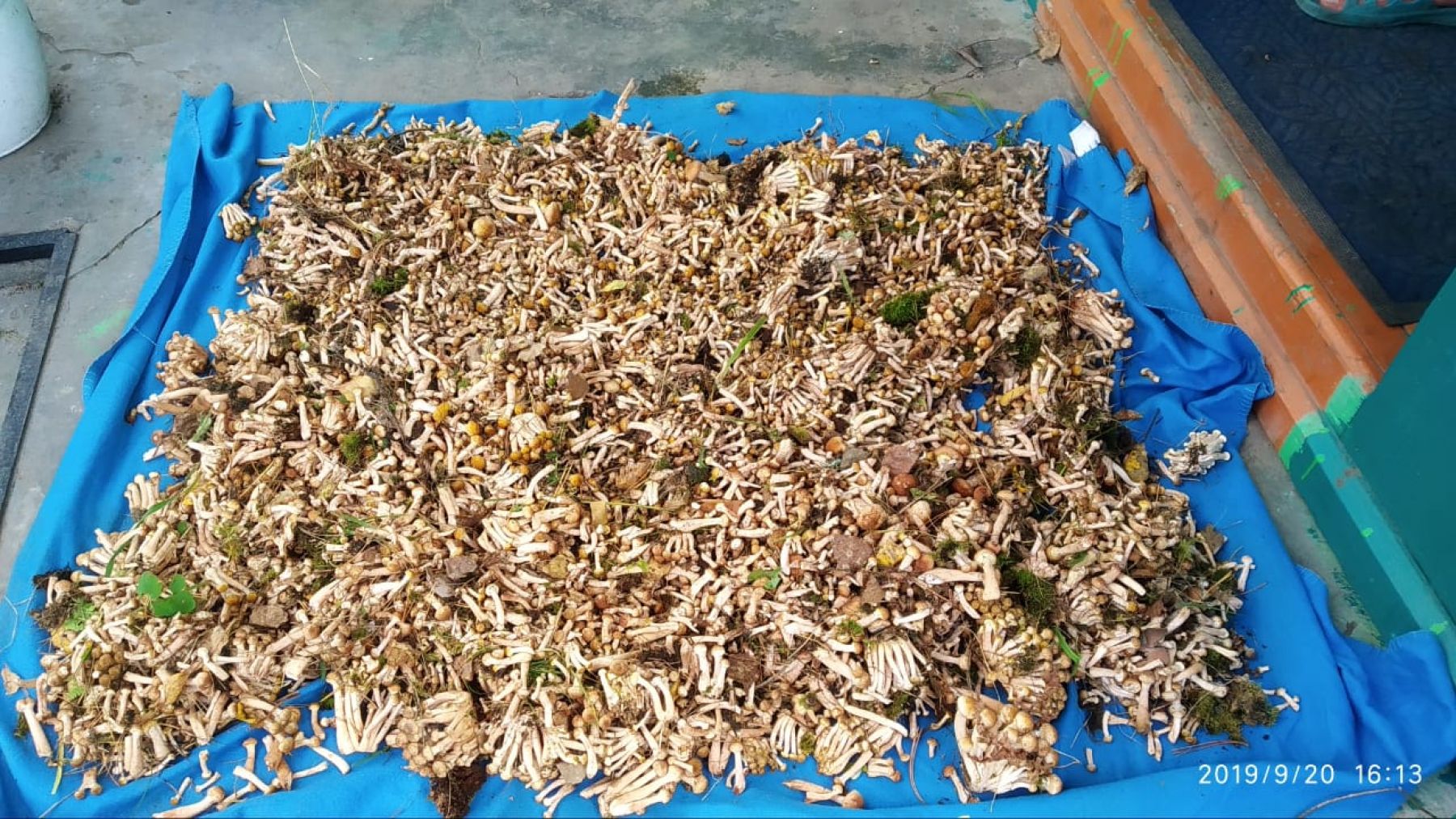 фото: Галина Диваева 