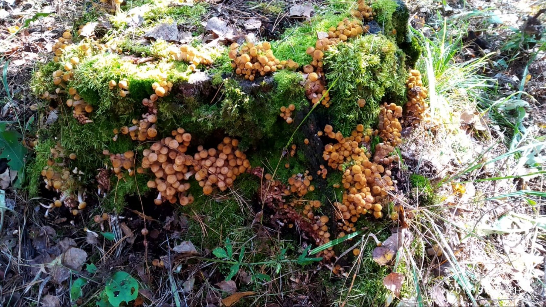 Фото: Галина Диваева 