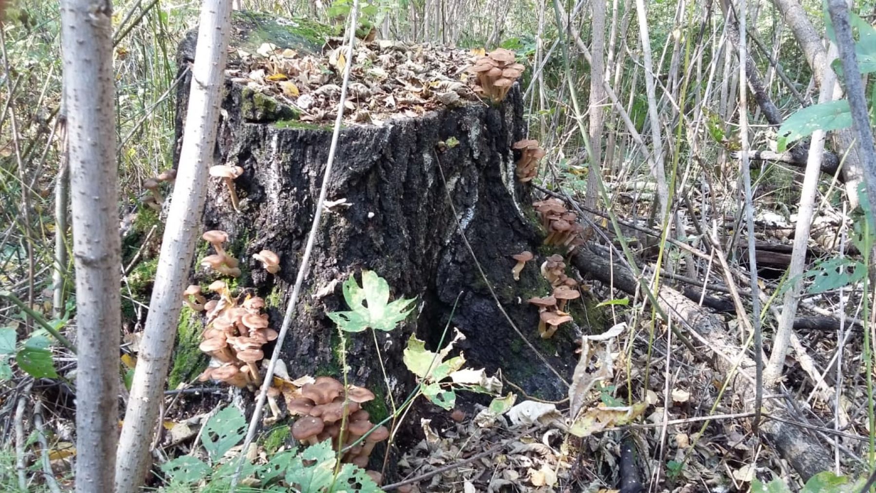 Фото: Дмитрий Кузнецов 