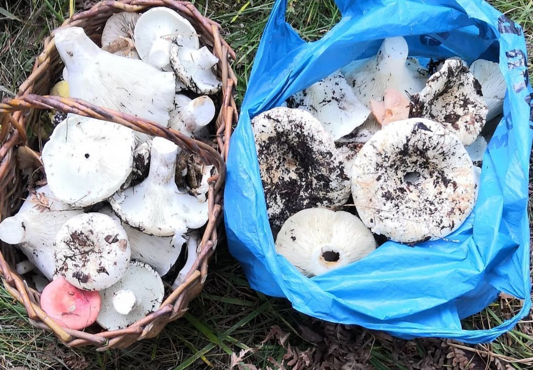 Фото: @evgenii1985z