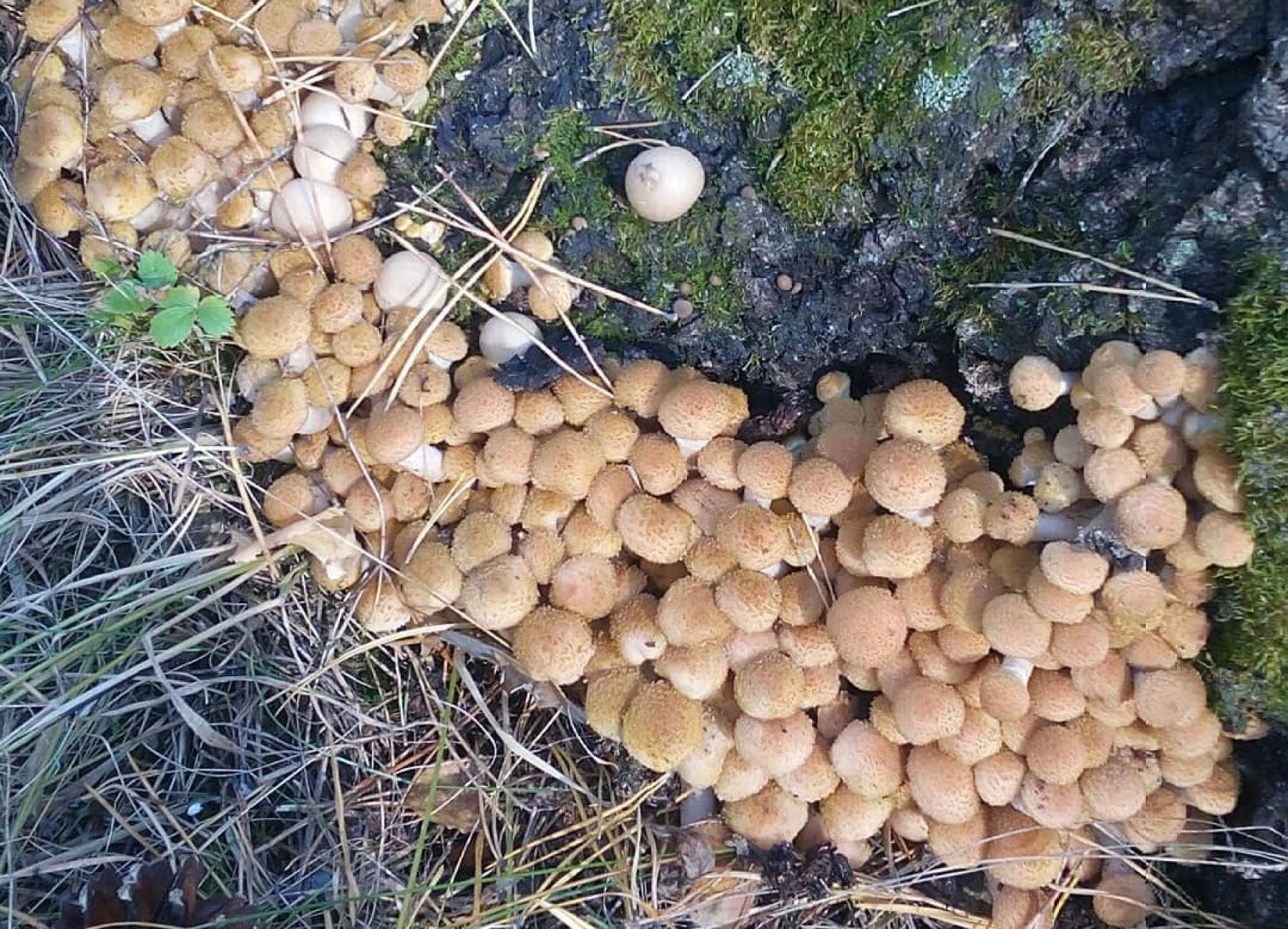 Фото: @irihka_ilinova