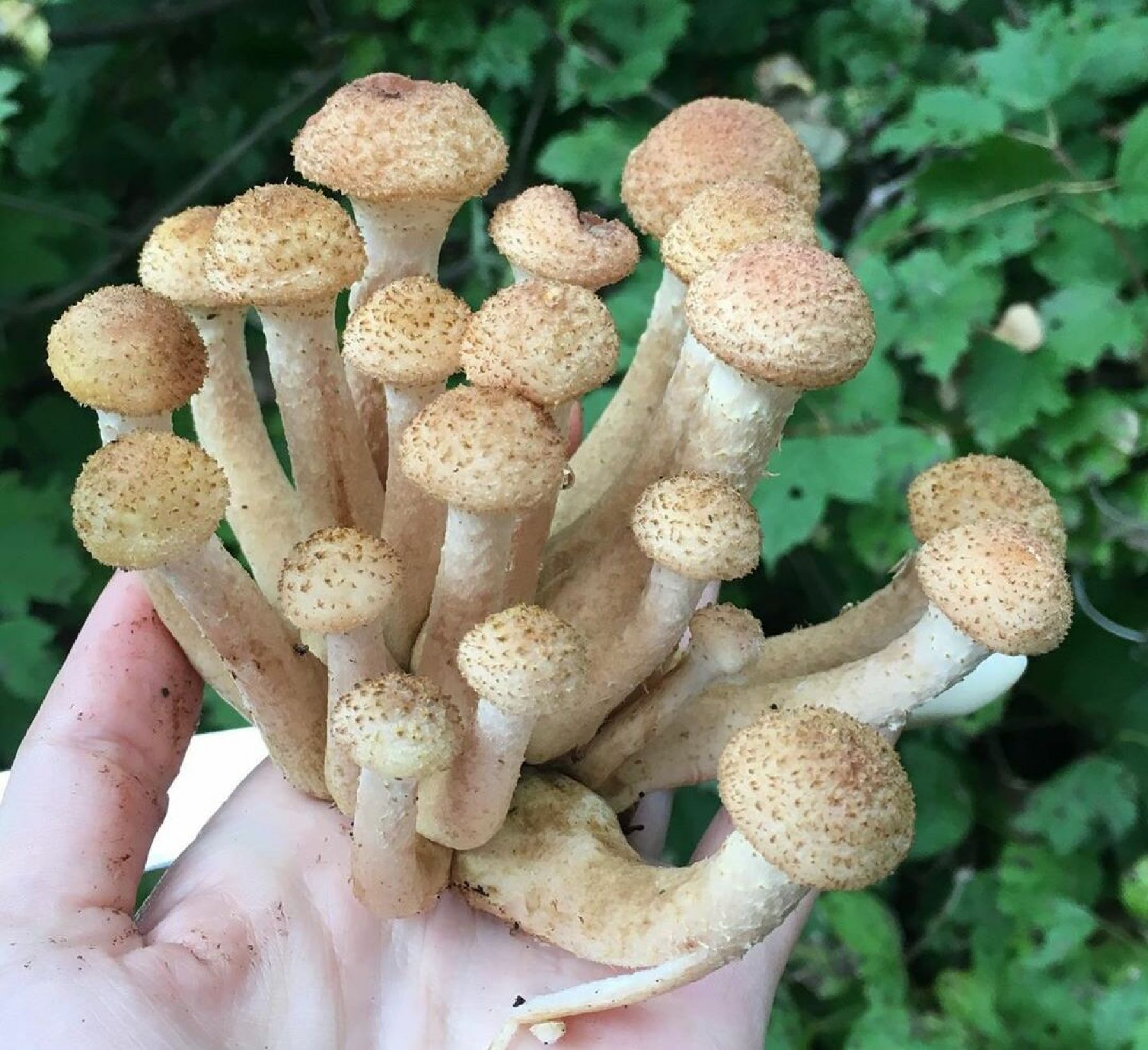 Фото: @klekat_11