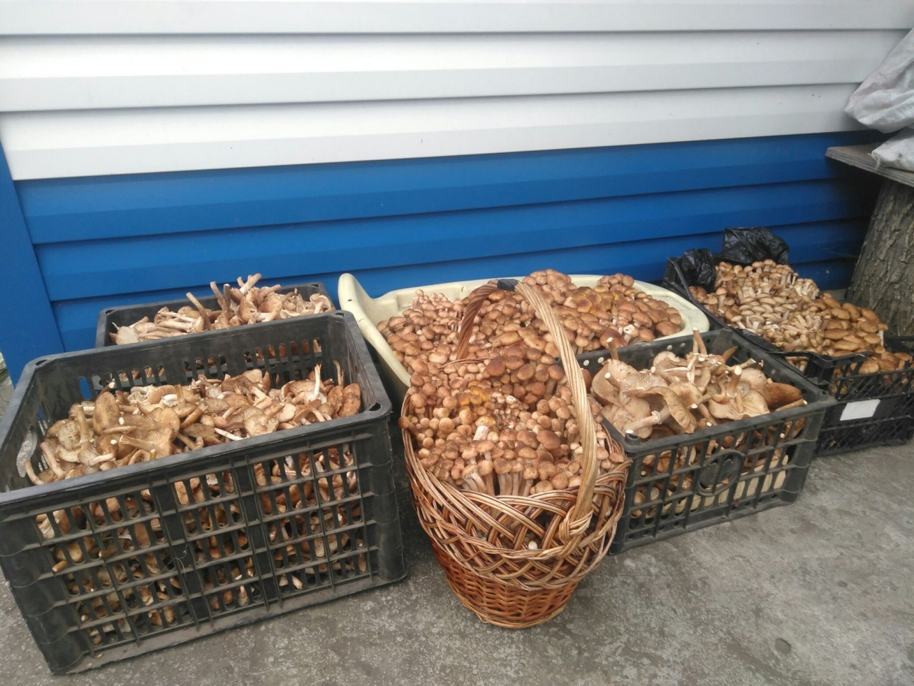 Фото: Михаил Назаренко 