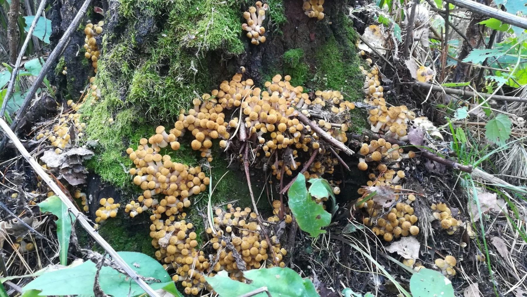 Фото: Татьяна Кровякова