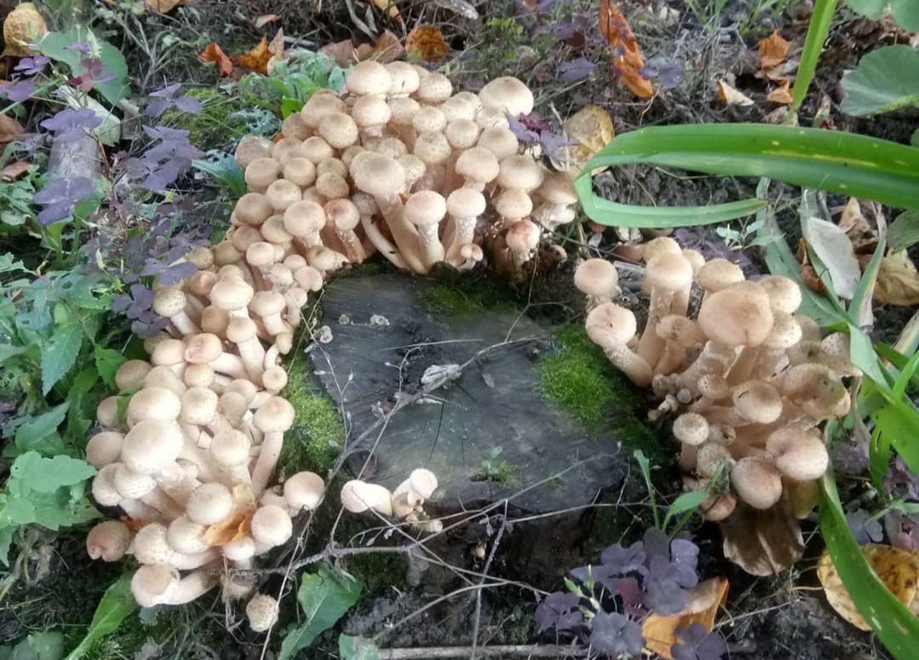 Фото: @3887sandra