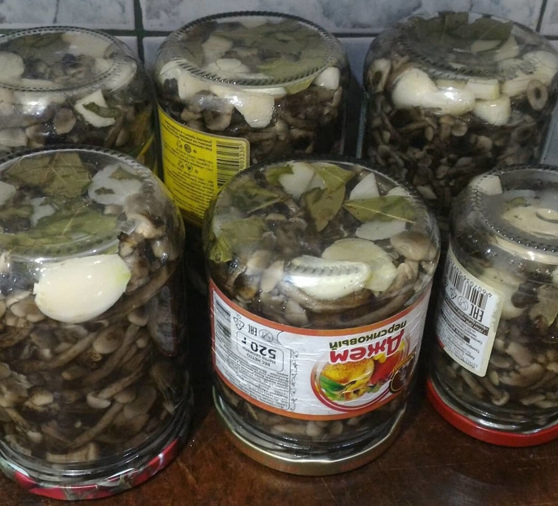 Фото: @_inna_shahova_