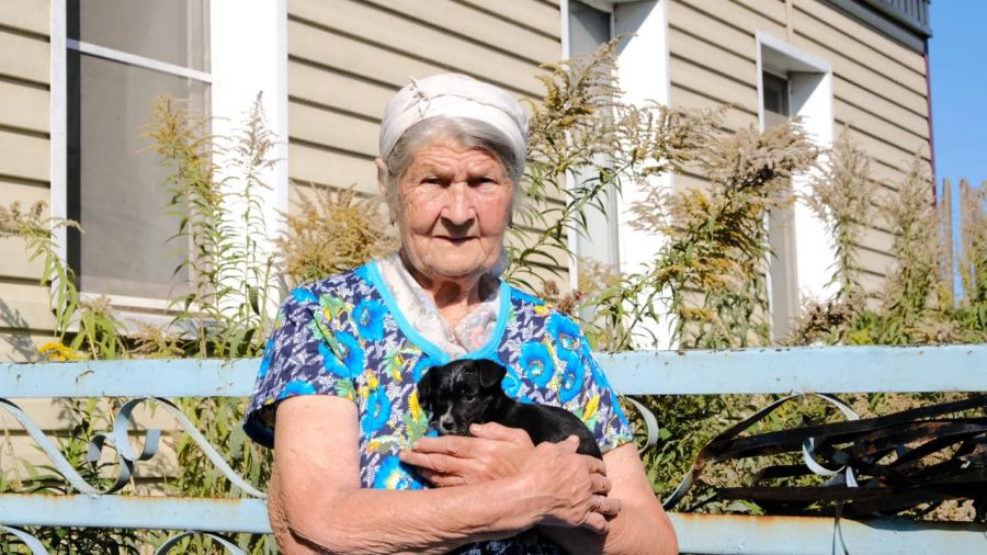 Комнатная собачка спасла пенсионерку от соседского пса и погибла