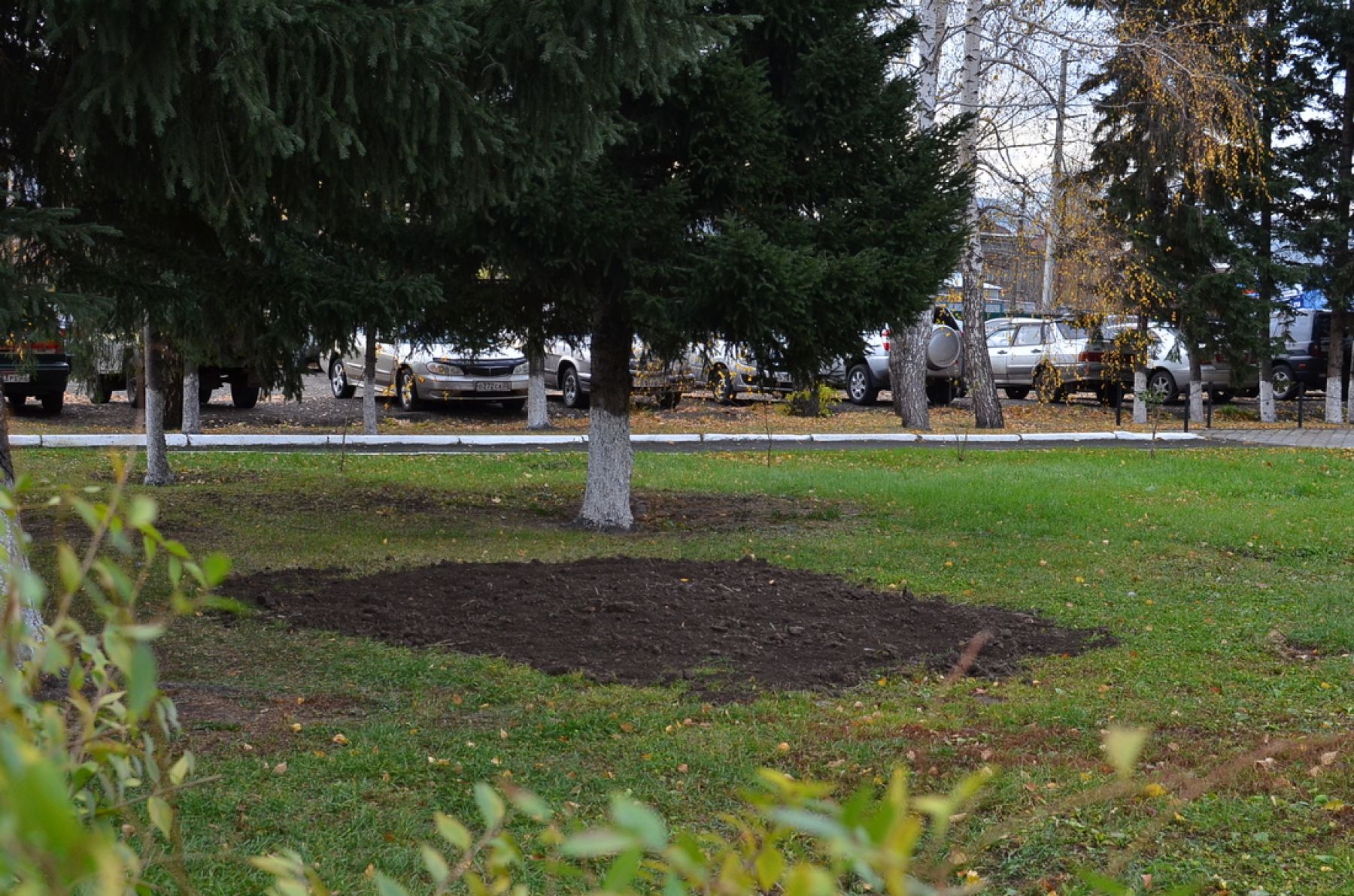 Пушки Бийской крепости установили на постаменте в новом сквере