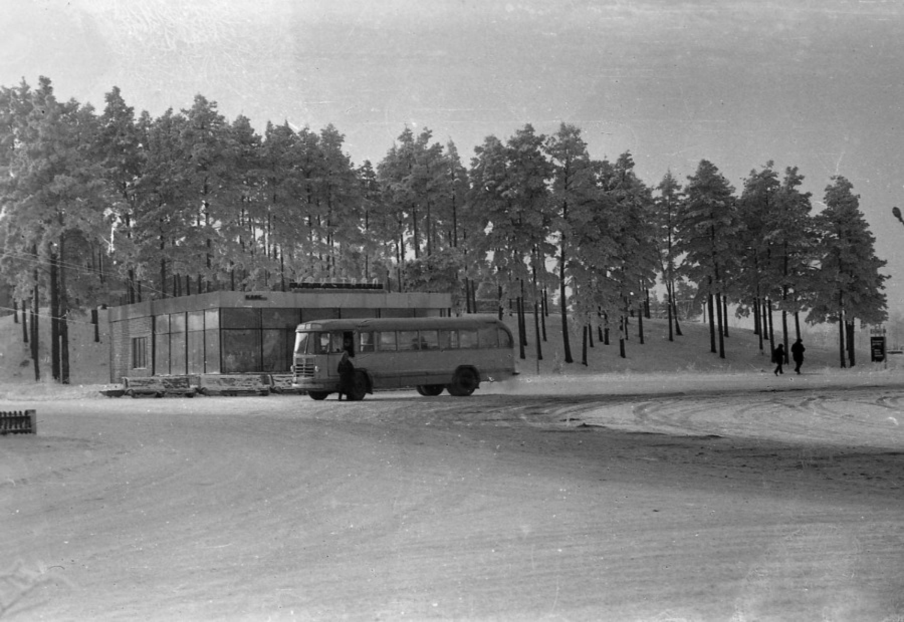 Бийский Академгородок: как начиналась история квартала АБ 