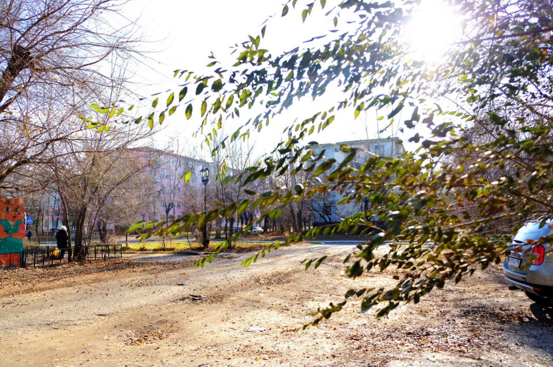 Порывы ветра в Бийске сегодня, 28 октября, достигают 19 метров в секунду