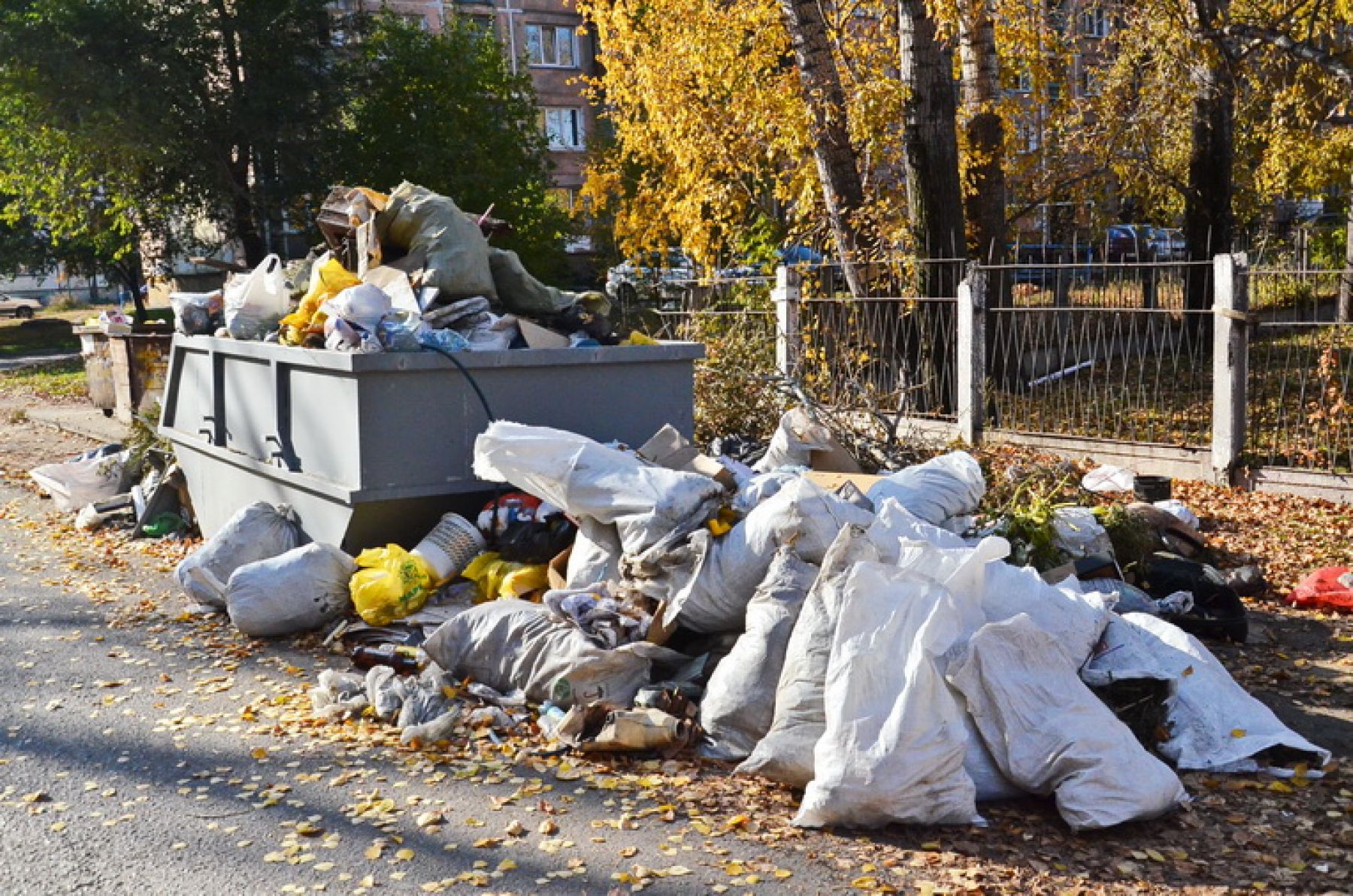 Такой была свалка в октябре.