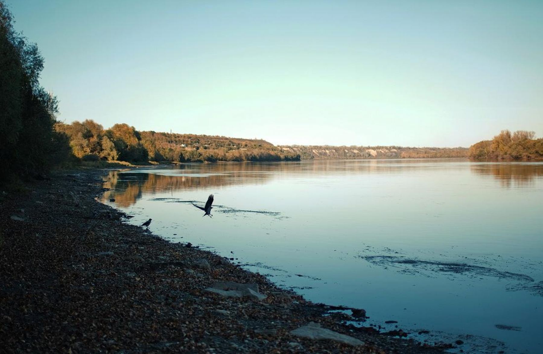 Именно во Владимирском переулке на воду была спущена лодка для катания по Бии