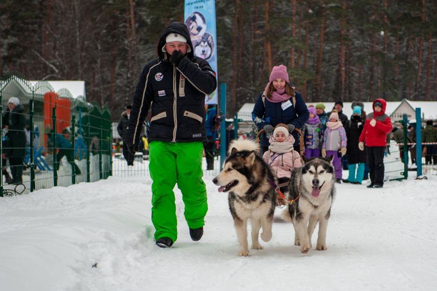 Афиша мероприятий праздника «Алтайская зимовка» на 30 ноября и 1 декабря