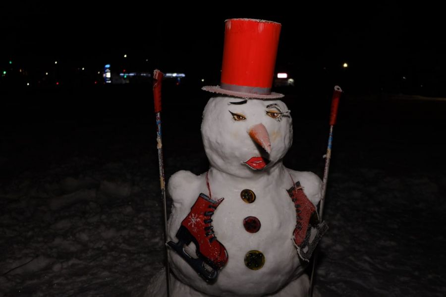 Целая аллейка из снеговиков появилась на территории Бийского педколледжа
