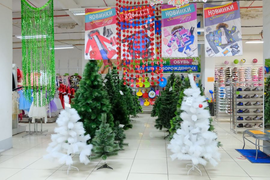 Сколько в Бийске стоят елки и новогодние украшения для них