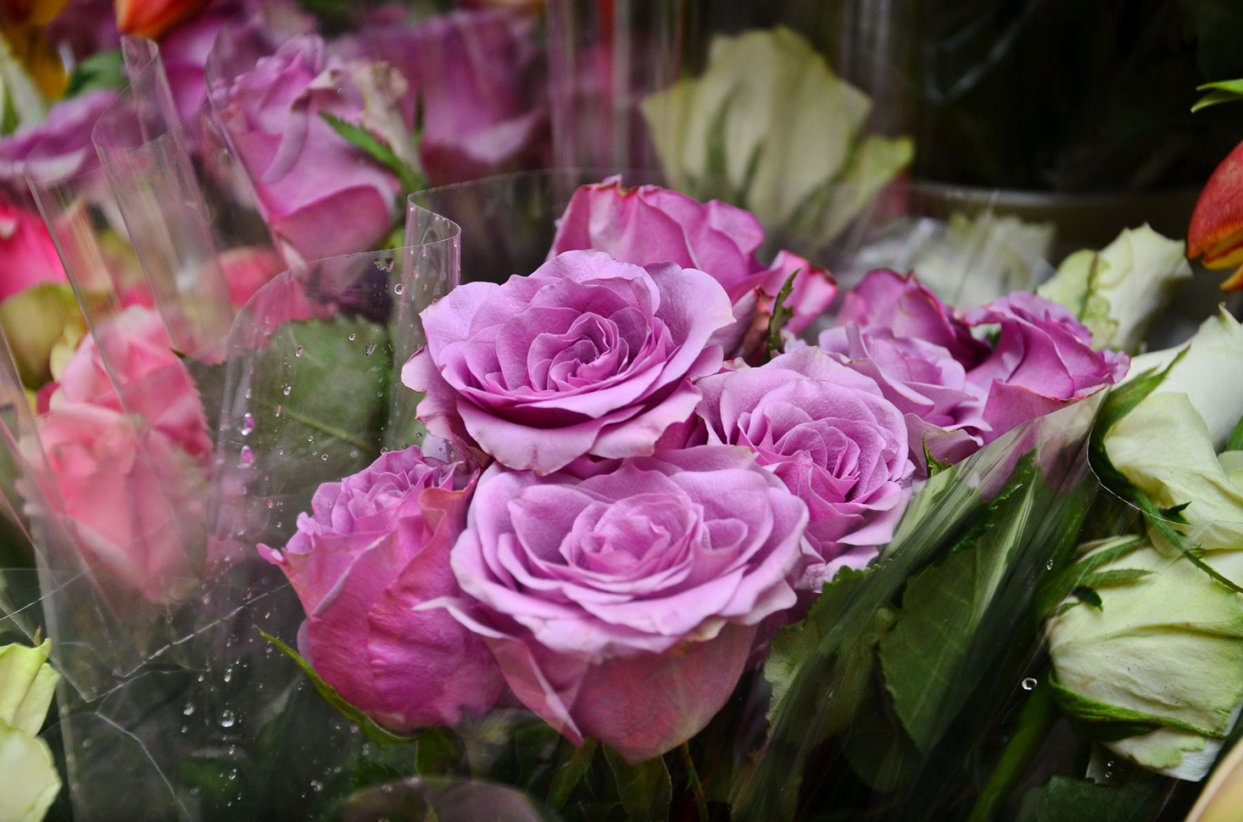 Предпраздничная суета наблюдается в цветочных отделах Бийска