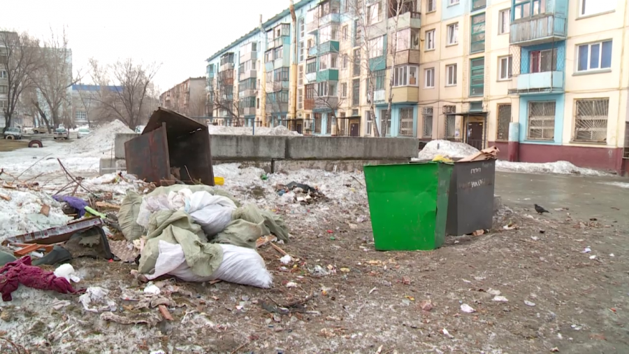 Старые грабли: почему в Бийске не хватает мусорных контейнеров 