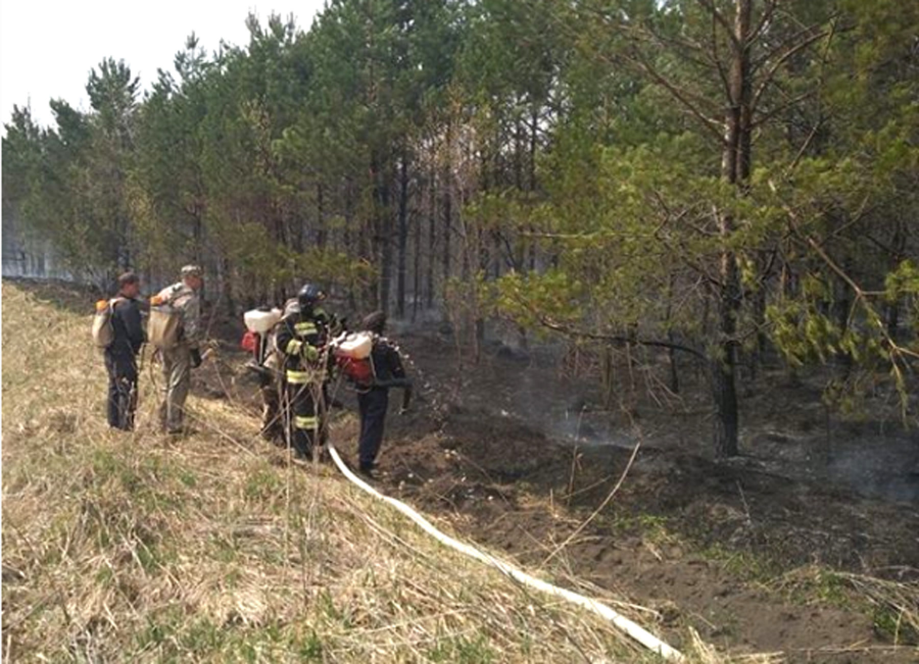 Сильный ландшафтный пожар произошел в Смоленском районе