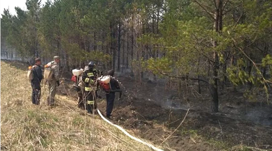Сильный ландшафтный пожар произошел в Смоленском районе