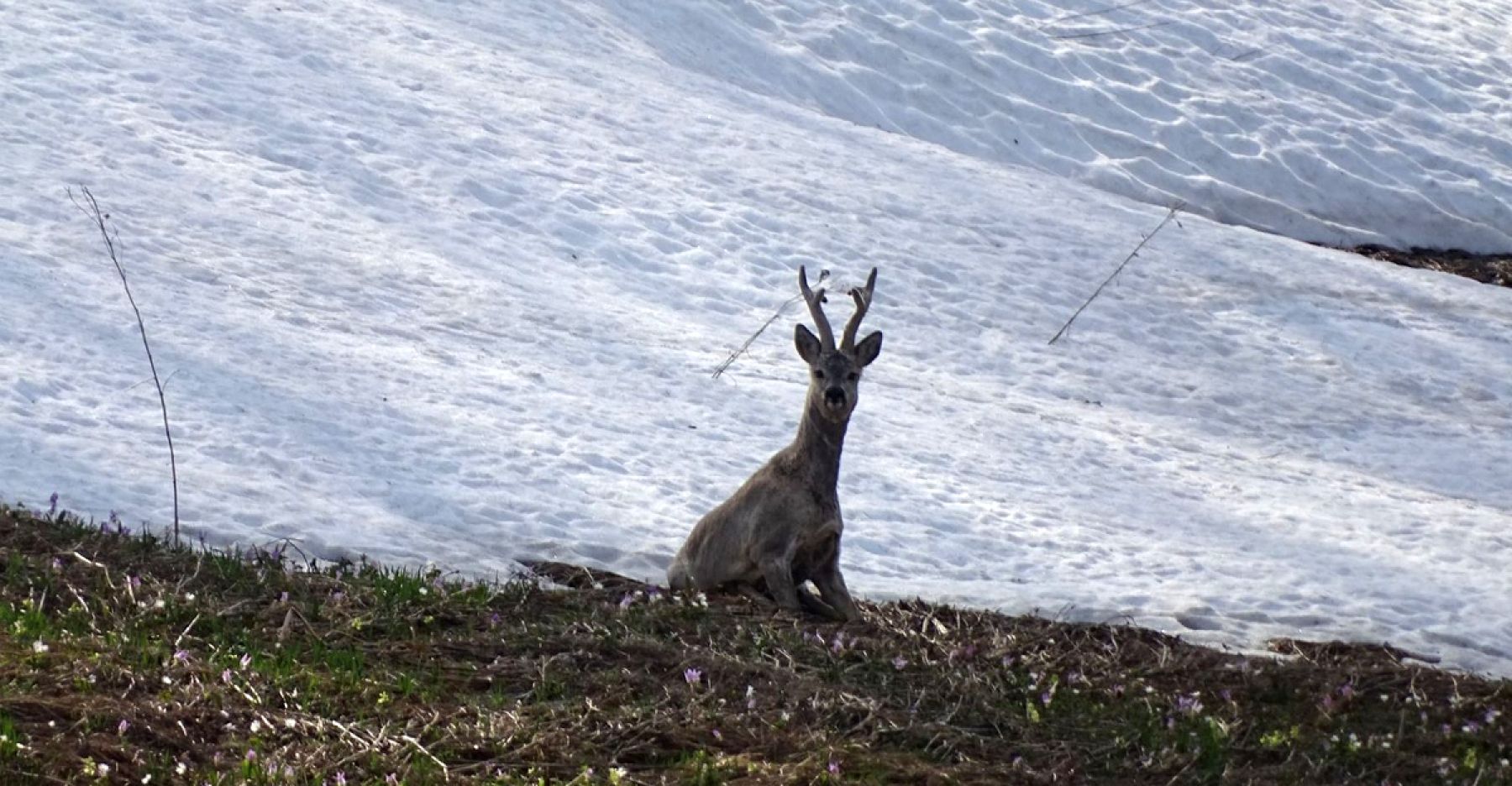 Экологическая тропа «Фауна» появится в Чинетинском заказнике