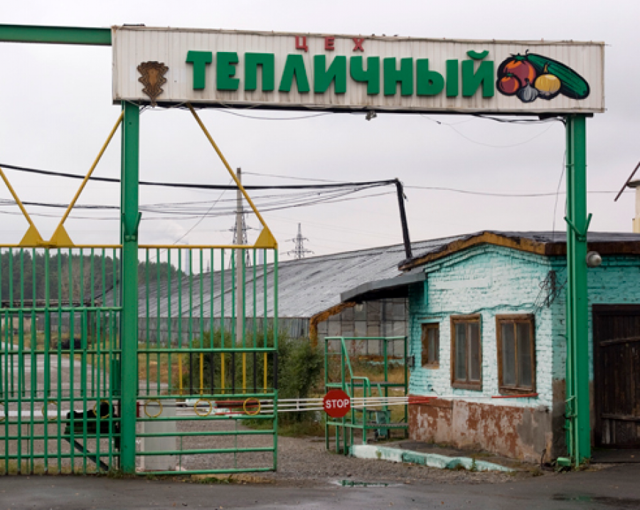 Власти Бийска отказали в появлении выставочного центра на месте бывших теплиц