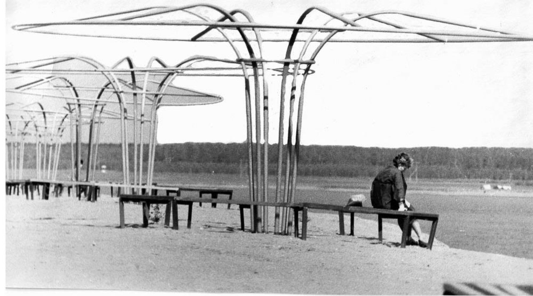 Прогулка по городу: лесопарк на АБ – одно из самых популярных мест у бийчан 