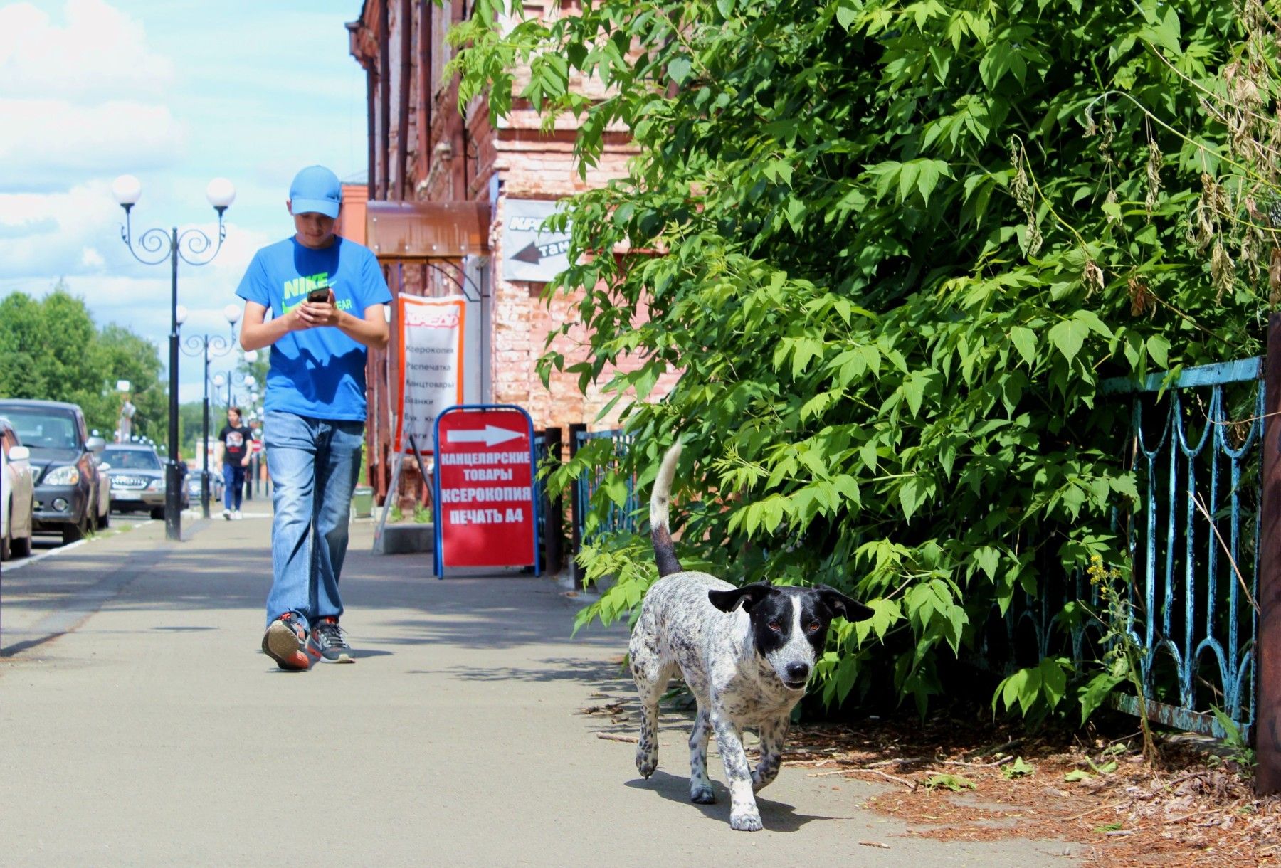 Прогулка по городу: четыре идеи, чем заняться в старом центре Бийска 