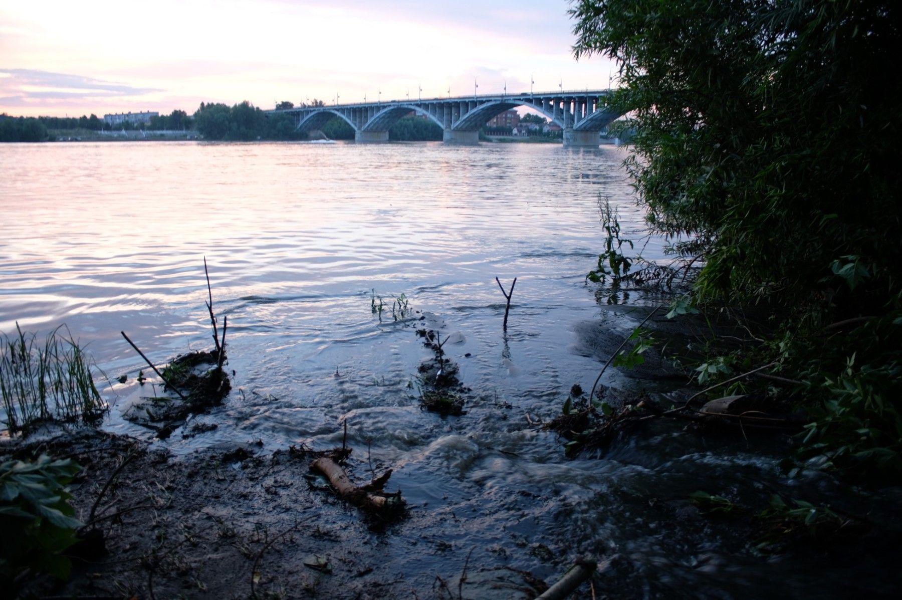 В воды Бии вылились отходы канализации, требуется очистка почвы