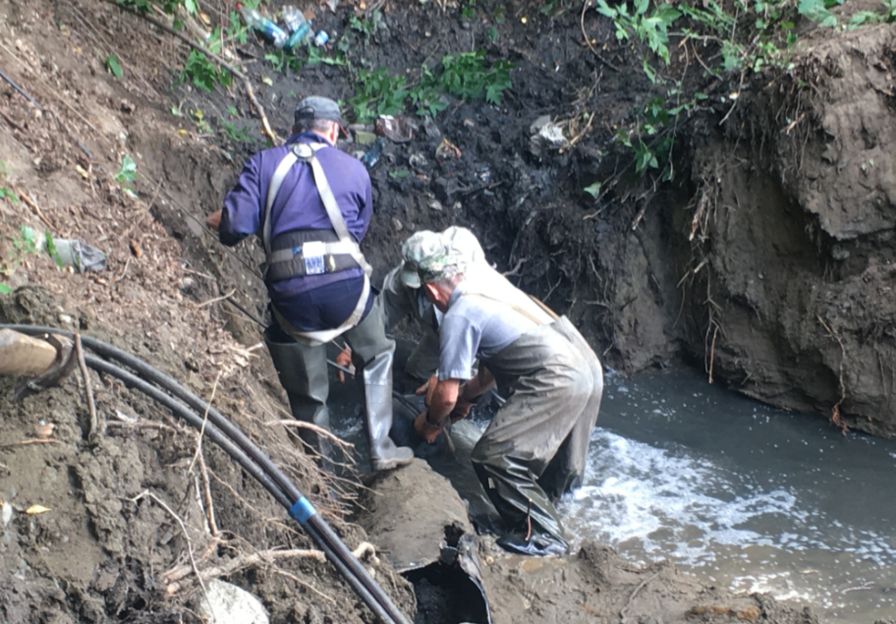 В воды Бии вылились отходы канализации, требуется очистка почвы