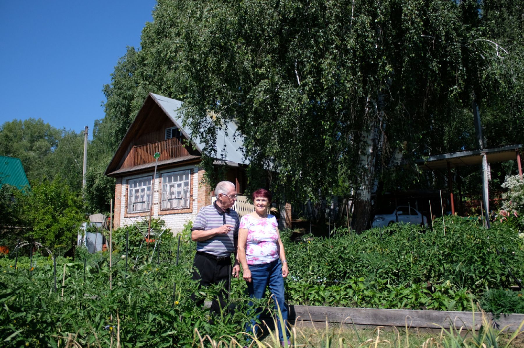 В срок и впрок: как дача круглый год кормит бийских пенсионеров