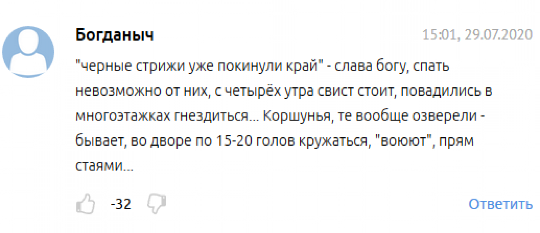 Помойки, крысы, чебуреки: почему в Бийске стало больше коршунов