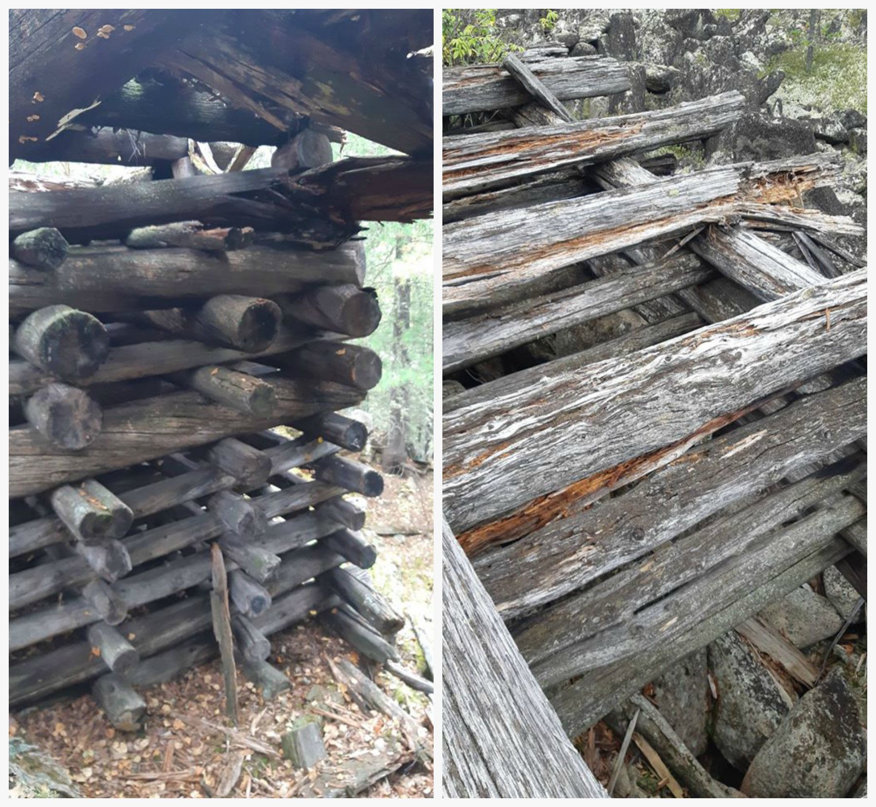Люди не знают что это: в сибирской тайге найдена «мертвая дорога»