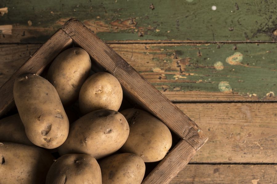 Готовим погреба: как правильно выбрать место для хранения картофеля 